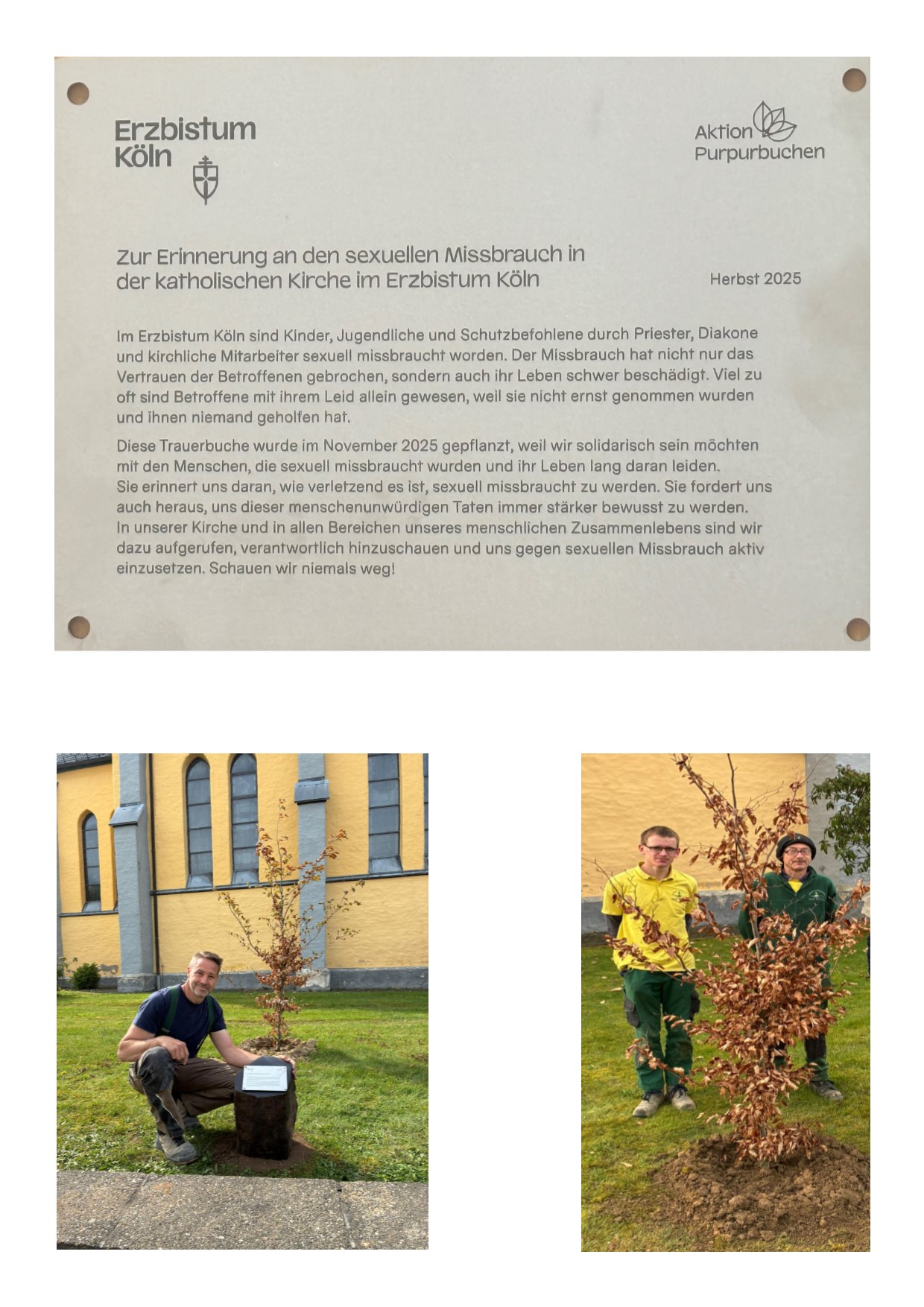 Pflanzaktion Purpurbche