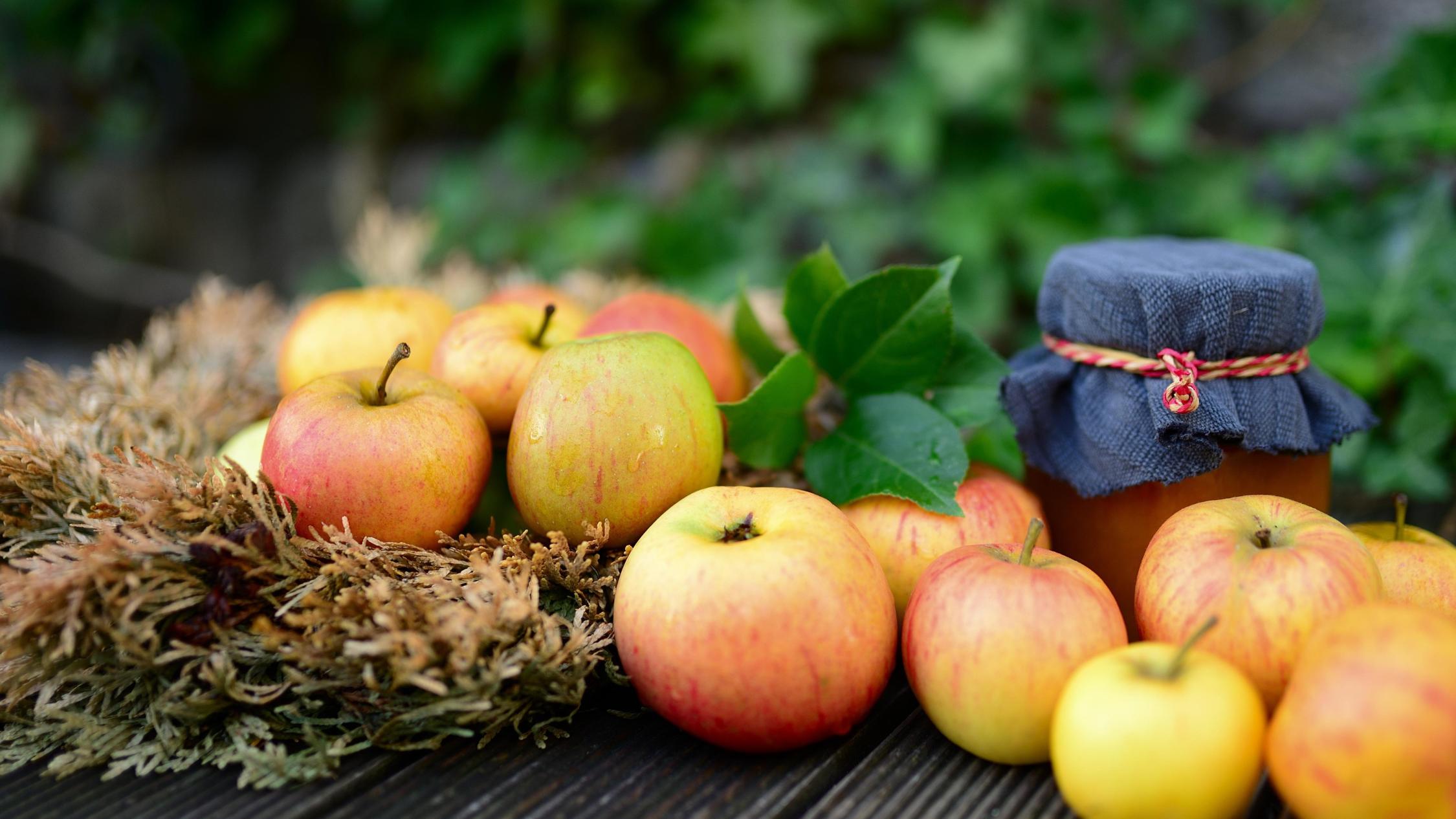 apples-5543778_by_congerdesign_pixabay_pbs