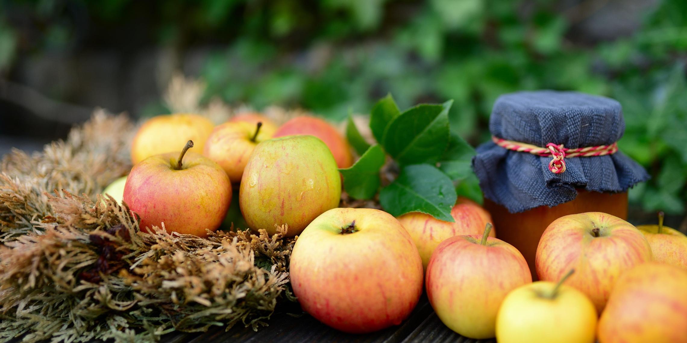 apples-5543778_by_congerdesign_pixabay_pbs