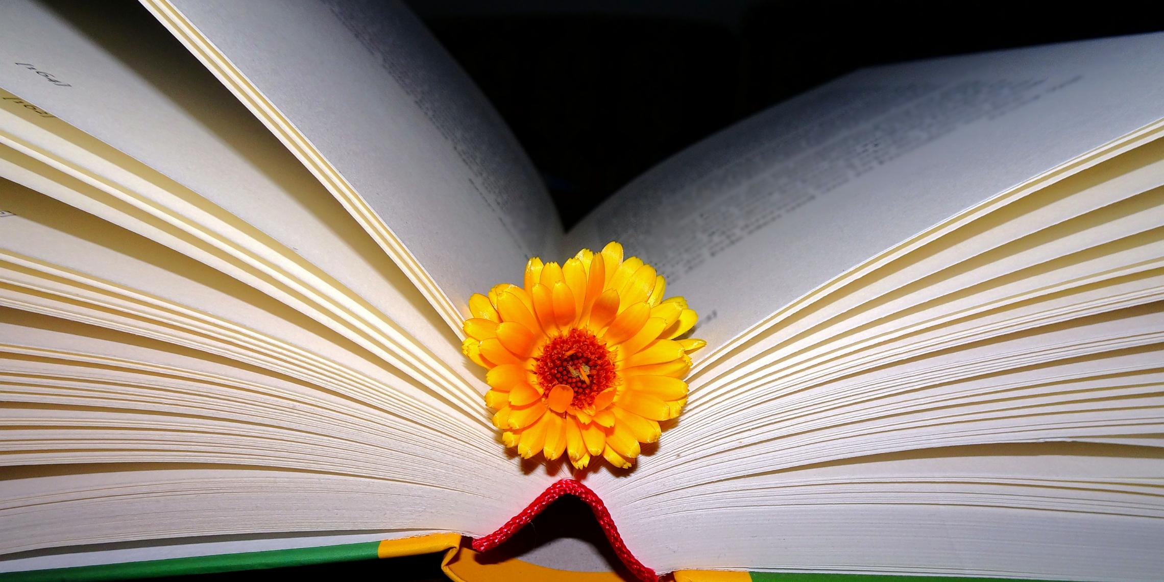 lesen_weckt_die_phantasie_bearb_by_friedbert_simon_pfarrbriefservice